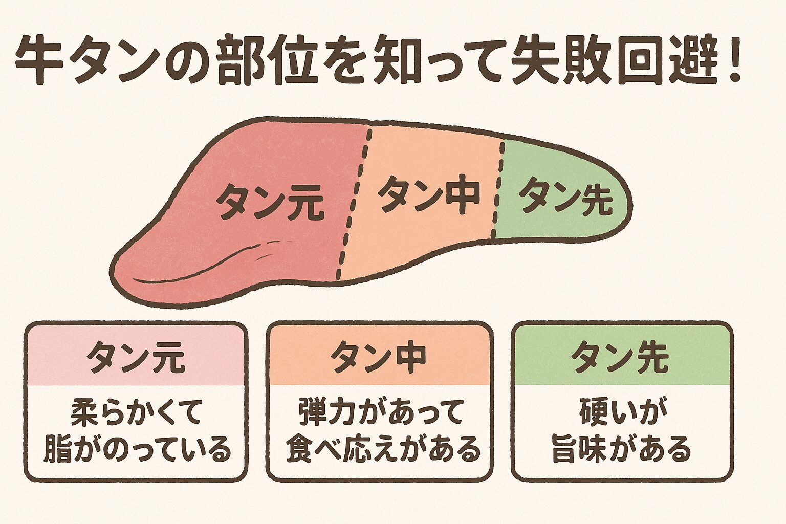 牛タンの部位を知って失敗回避！タン元・タン中・タン先を解説